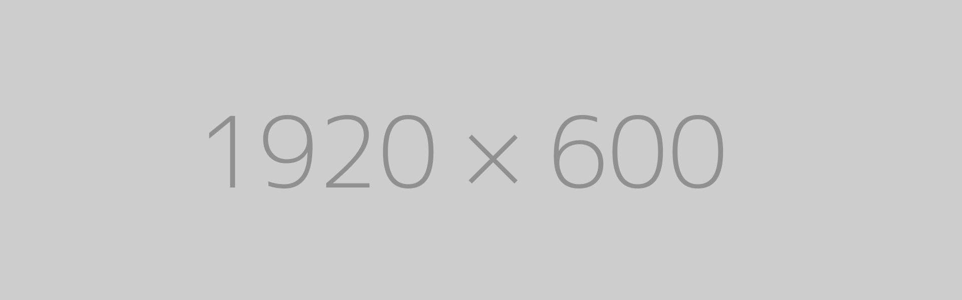 hongo 1920x600-ph