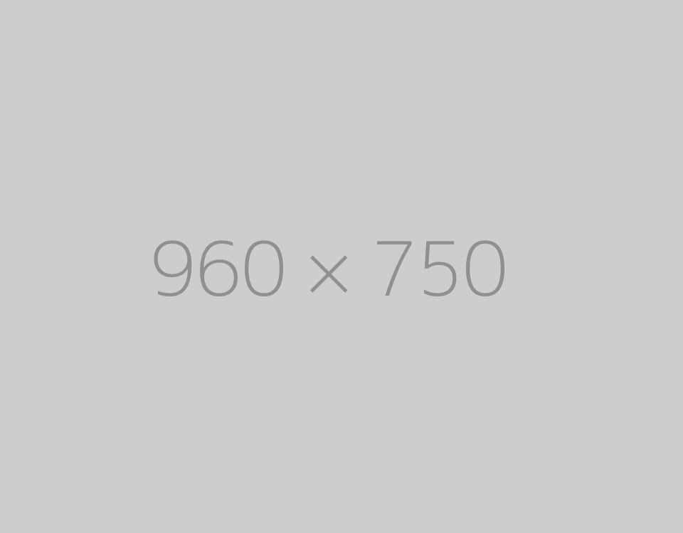 hongo 960x750-ph